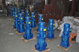 老狼蜜芽忘忧草二区