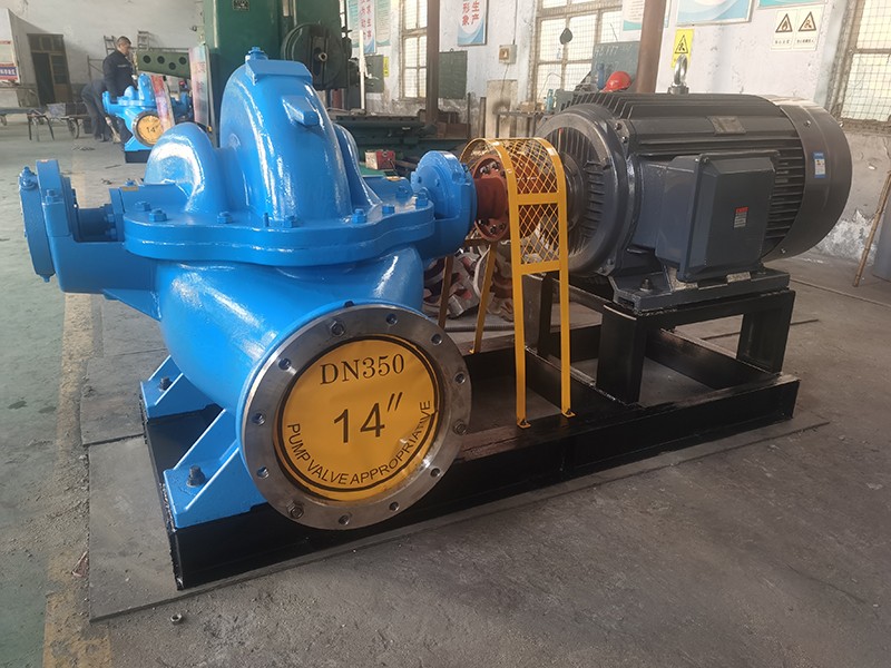 老狼蜜芽忘忧草二区