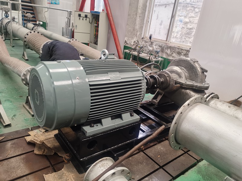 老狼蜜芽忘忧草二区