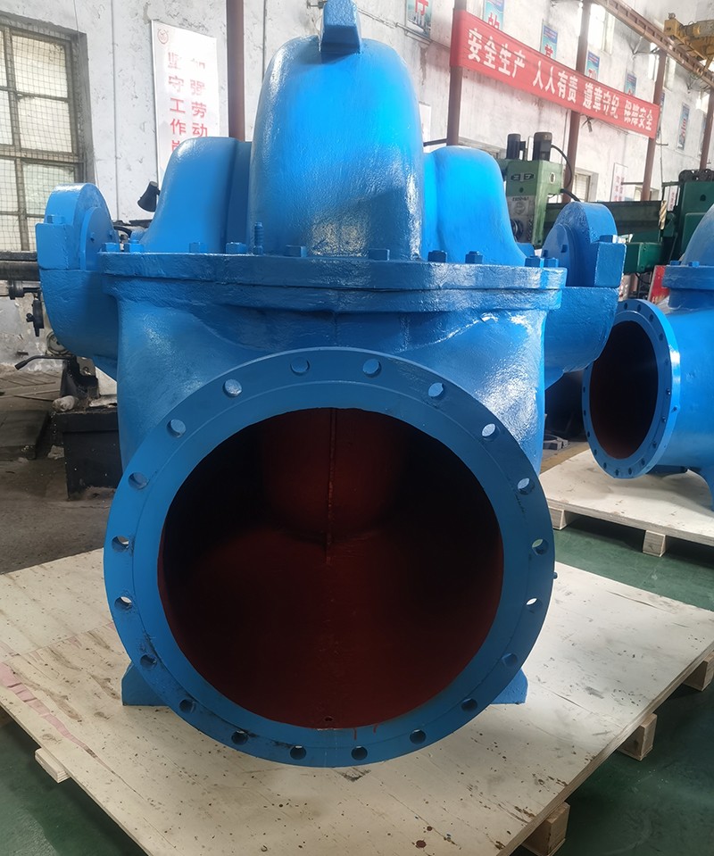 老狼蜜芽忘忧草二区