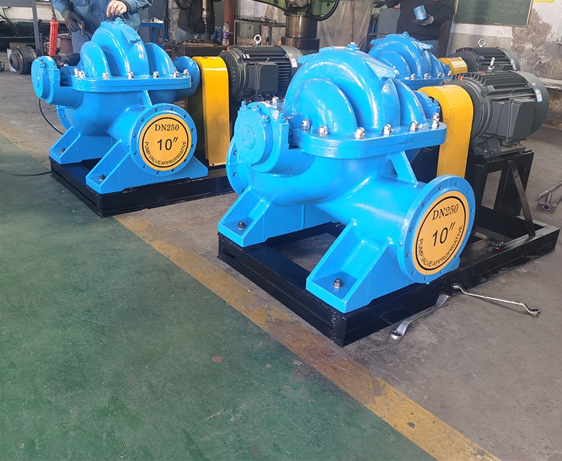 老狼蜜芽忘忧草二区