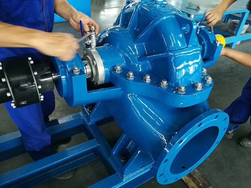 老狼蜜芽忘忧草二区