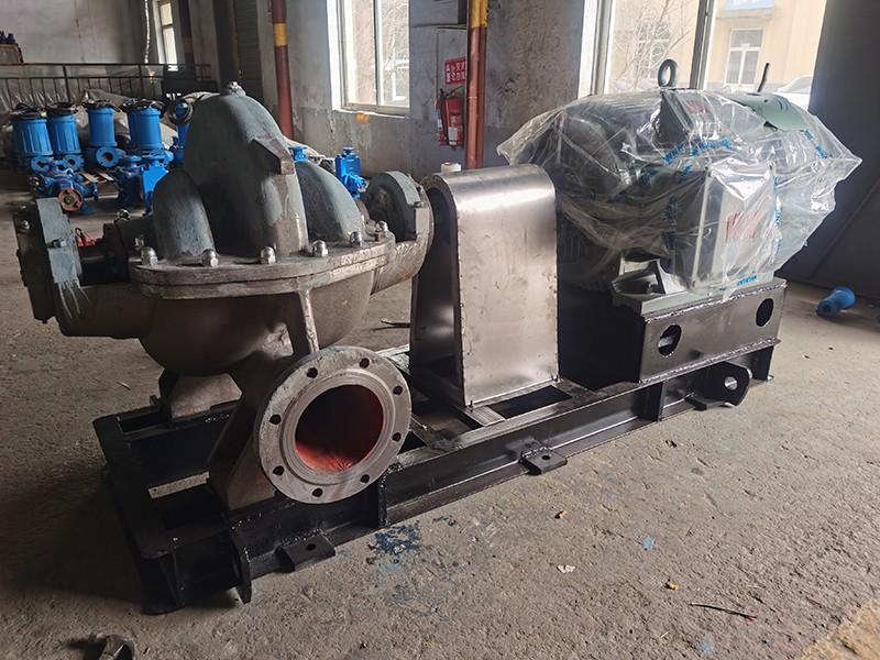 老狼蜜芽忘忧草二区