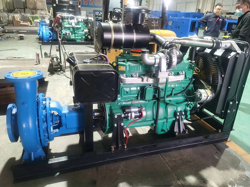 老狼蜜芽忘忧草二区