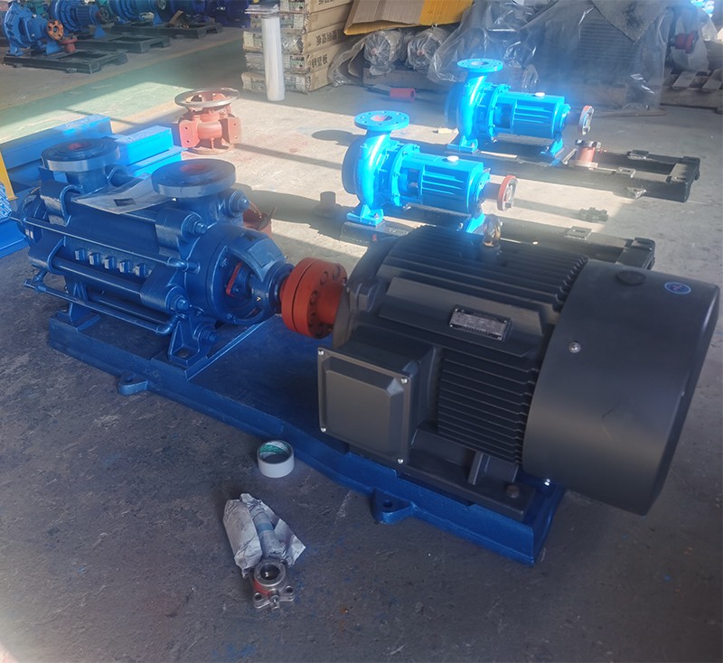 老狼蜜芽忘忧草二区