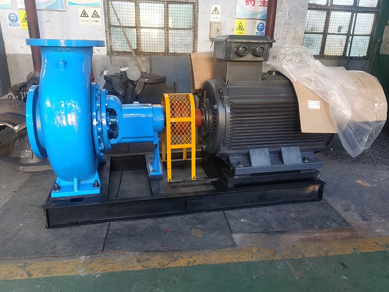 老狼蜜芽忘忧草二区