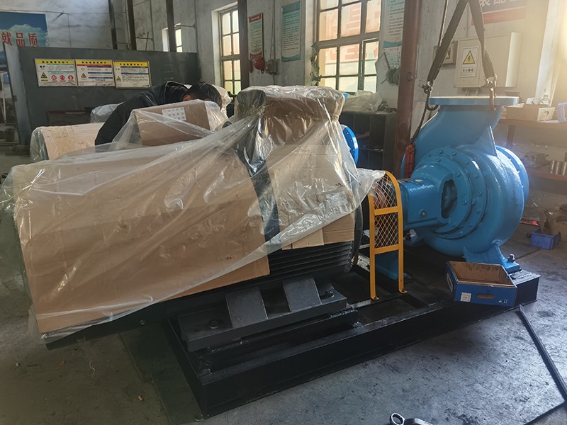 老狼蜜芽忘忧草二区